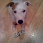[Quiz] The Life-Changing Secret Behind “Operation Money$uck”